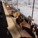 Customer profile logo