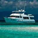 Customer profile logo