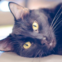 Customer profile logo