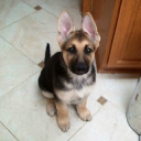 Customer profile logo