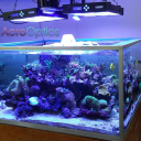 Customer profile logo