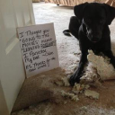 Customer profile logo