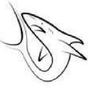 Customer profile logo