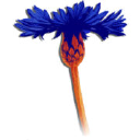 Customer profile logo