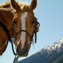 Customer profile logo