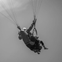 Customer profile logo