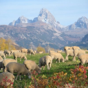 Customer profile logo