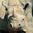 Customer profile logo