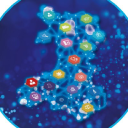 Customer profile logo