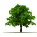Customer profile logo