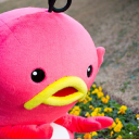 Customer profile logo