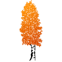 Customer profile logo