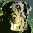 Customer profile logo