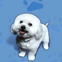 Customer profile logo