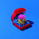 Customer profile logo