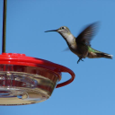 Customer profile logo