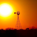 Customer profile logo