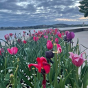 Customer profile logo