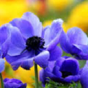 Customer profile logo