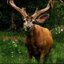 Customer profile logo