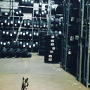 Customer profile logo