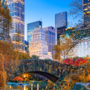 Customer profile logo