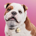 Customer profile logo