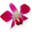 Customer profile logo