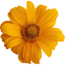 Customer profile logo