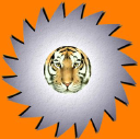 Customer profile logo
