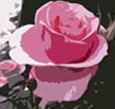 Customer profile logo