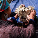 Customer profile logo