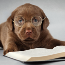 Customer profile logo