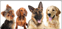 Customer profile logo