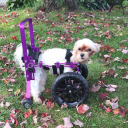 Customer profile logo