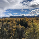 Customer profile logo