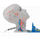 Customer profile logo