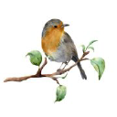 Customer profile logo