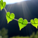 Customer profile logo