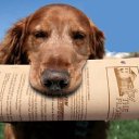 Customer profile logo