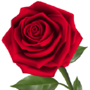 Customer profile logo