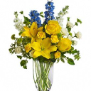 Customer profile logo