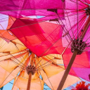 Customer profile logo