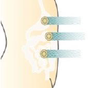 Customer profile logo