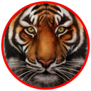 Customer profile logo