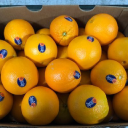 Customer profile logo