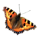 Customer profile logo