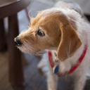 Customer profile logo