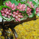 Customer profile logo