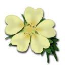 Customer profile logo